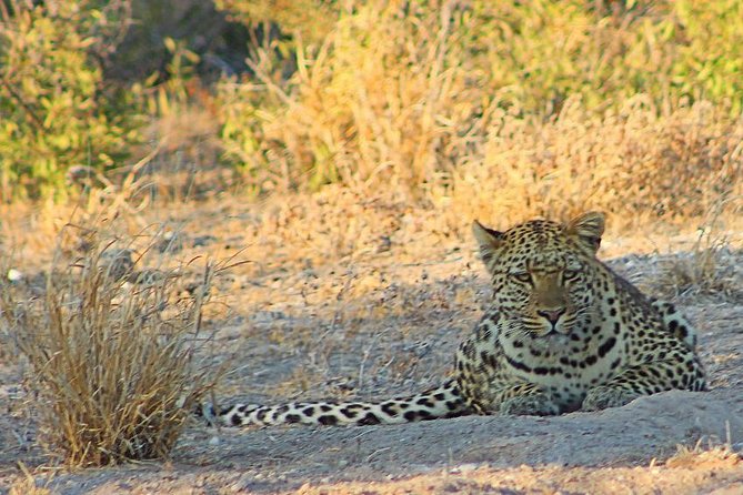 3 Day Central Kalahari Game Reserve Safari Tour - Accommodation Details