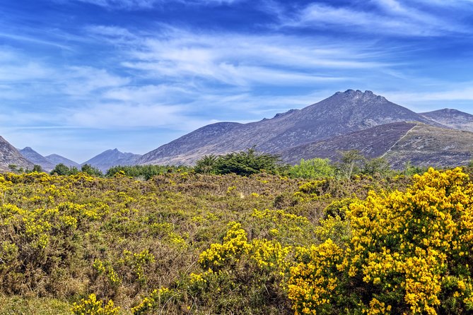 3-Day Discover Northern Ireland Small-Group Tour From Dublin - Tour Highlights
