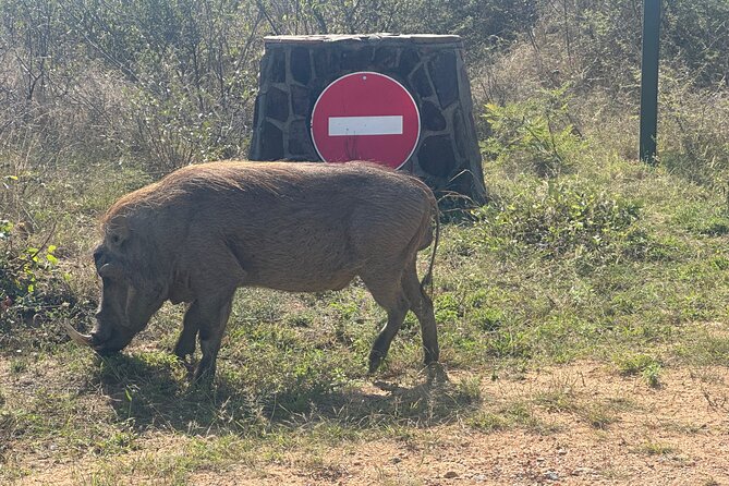 3 Day Kruger National Park End With Panaroma - Safety and Accessibility