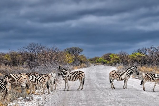 3-Day Masai Mara National Park Deluxe Tour - Highlights of the Masai Mara Safari