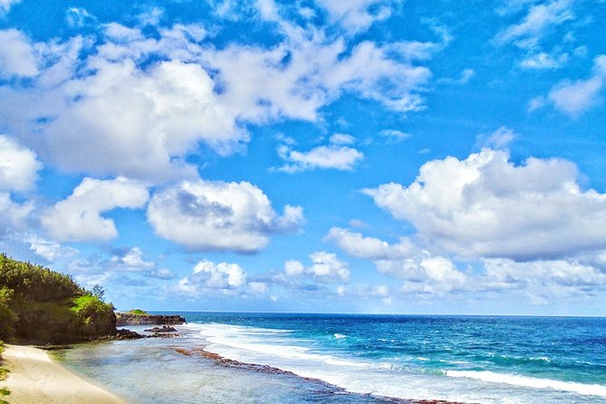 3-Day Private Tour of Mauritius Island With Optional Wild Dolphin Swim - Participant Experiences