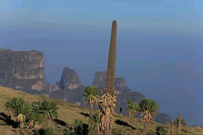 3 Day Simien Mountains Tours - Frequently Asked Questions