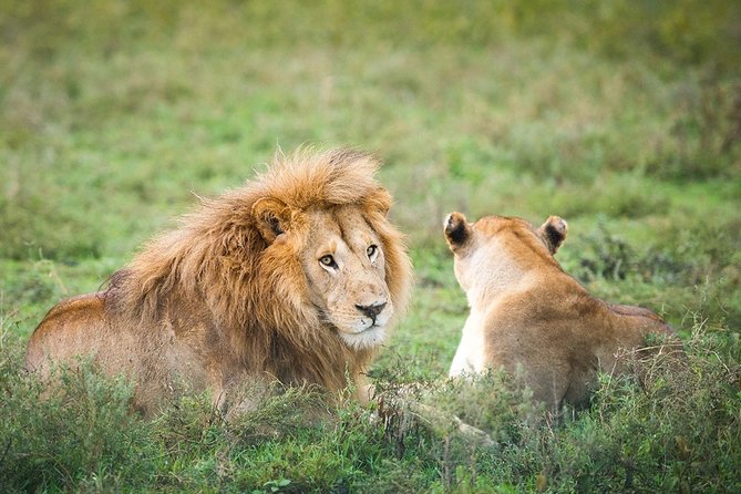 3-Day Taste of Tanzania Safari (Tarangire National Park and Ngorongoro Crater) - Packing and Essentials