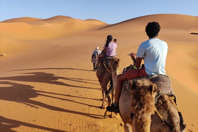 3-Day Trip From Fez to Marrakech via Merzouga Desert - Arrival in Marrakech