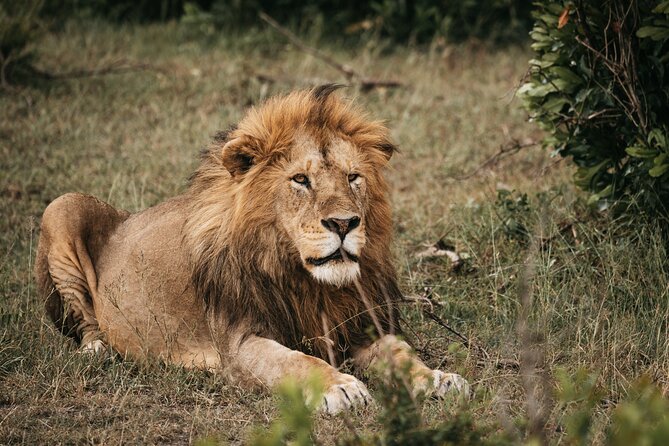 3-Day Tsavo East and Tsavo West Safari - Wildlife and Scenic Experiences