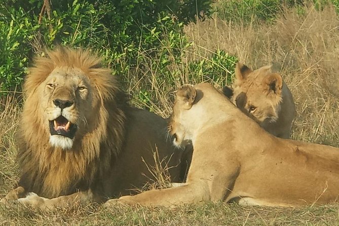 3 Days Adventurous Maasai Mara Budget Group Safari - Important Travel Considerations
