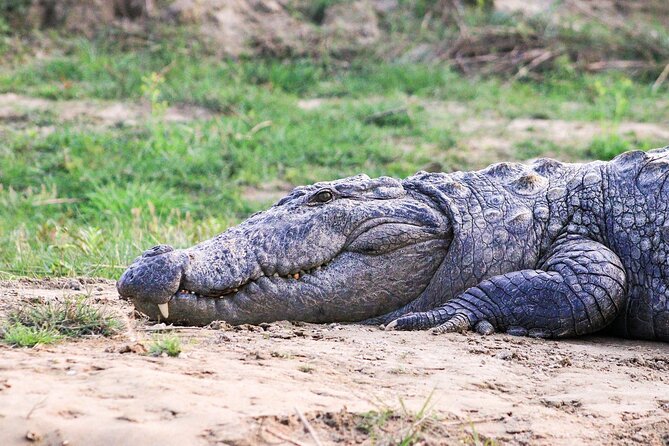3 Days and 2 Nights Chitwan National Park Safari Tour in Pokhara - Pickup and Transportation