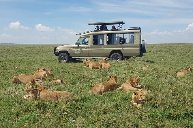 3 Days Big 5 Tour and Culture in Tanzania - Customer Reviews and Feedback