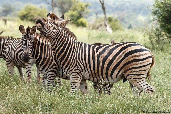 3 Days Camping Safari Tour Tanzania - Booking and Confirmation Process