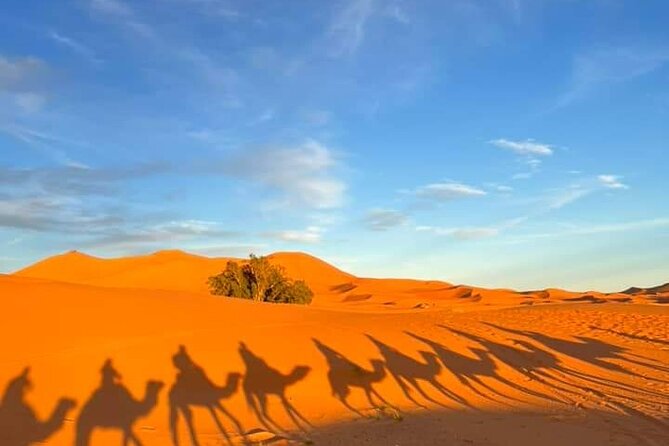 3 Days Group Tour From Marrakech to Merzouga Desert - Dietary Accommodations