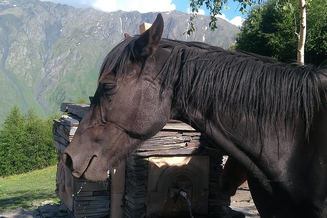 3 Days Holiday Package In Georgia (Kazbegi) - Accommodation in Tbilisi