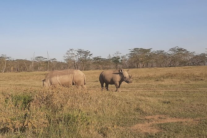3-Days Maasai Mara Unforgettable Adventure- Jeep Private Safari - Pickup and Drop-off Details