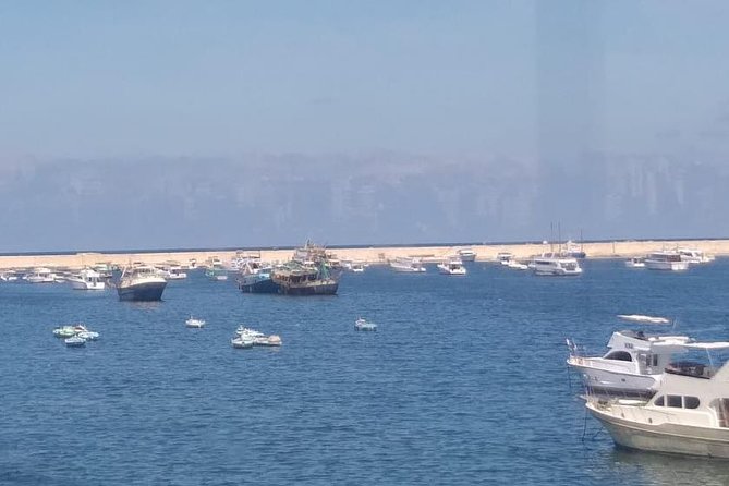 3 Days Private Tour in Cairo, Giza& Alexandria With Camel Ride and Lunch - Customer Reviews and Ratings