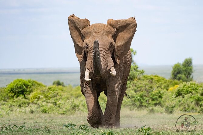 3 Days Safari in North- Ngorongoro, Tarangire, Mt. Oldeani - Health and Accessibility Considerations