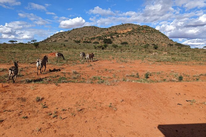 3 Days Safari Tsavo East and Taita Hills Saltlick Lodge - Packing and Preparation