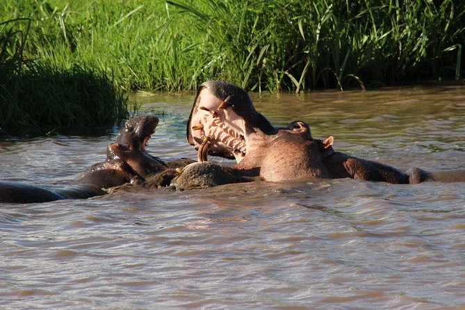 3 Days Safari Tsavo East and West - Booking Information