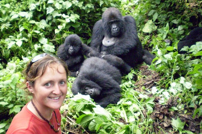 3 Days Uganda Gorilla Safari Tour With Relaxation on Lake Bunyonyi - Accommodation and Meals