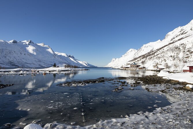 3 Fjords Scenic Road Trip With Light Snacks + Fire in Grill Cabin - Meeting Point and End Location