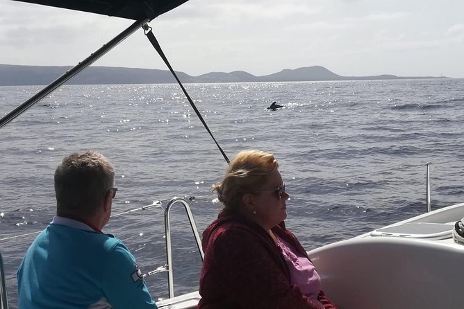 3-Hour Boat Trip From Costa Adeje in Tenerife - Feedback Highlights