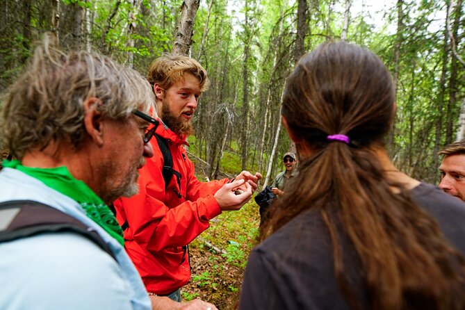 3 Hour Naturalist Walking Tour in Denali National Park - Positive Customer Feedback