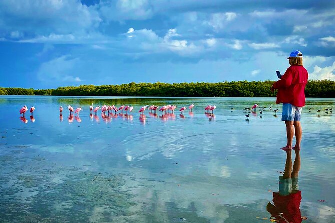 3 Hour Private Dolphin & Shelling Tour - Customer Experiences