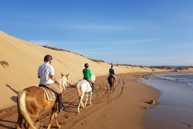 3-Hour Private Ride Between Beach and Dunes - Riding Along the Beach