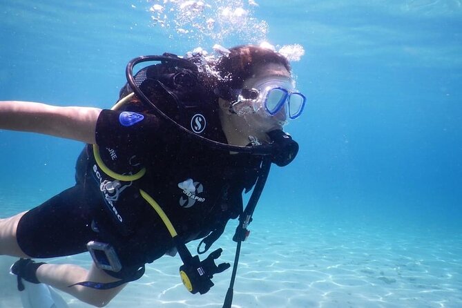3 Hour Private Scuba Diving Experience - The Sum Up
