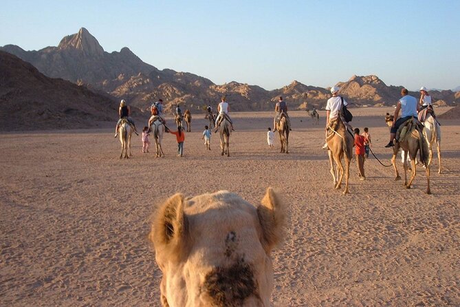 3-Hour Quad Bike Tour in Hurghada Desert - Bedouin Village Visit