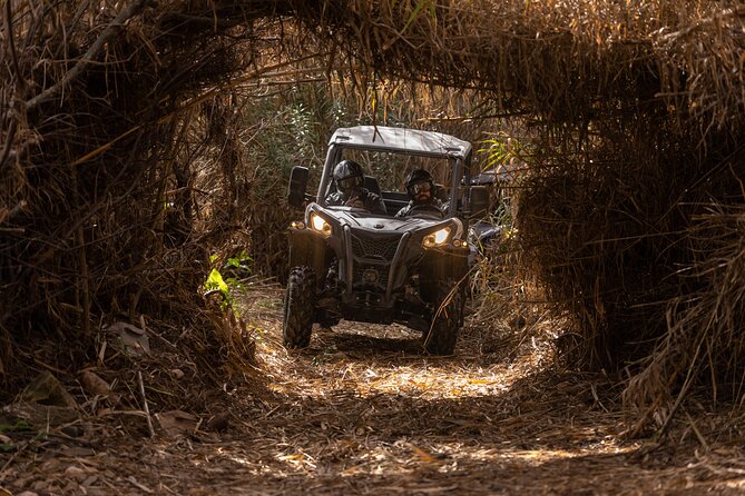 3-Hour Tour by Buggy or Quad in the Algarve - Group Size