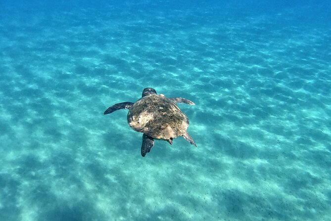 3 Hours Marathonissi Island Tour, Keri Caves and Turtles Spotting - Customer Feedback and Alternatives