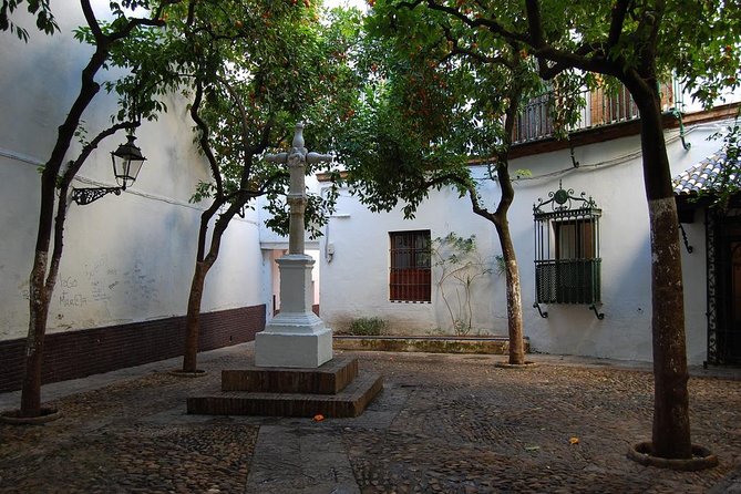 3 Hours Private Guided Tapas Walking Tour in Seville - Host Response to Feedback