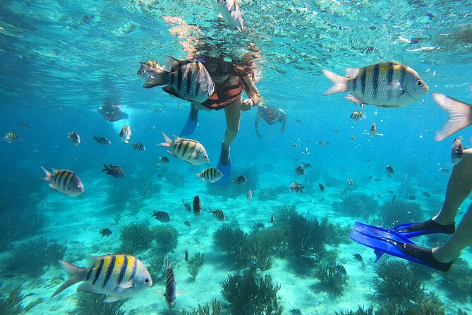 3 Hours VIP Semiprivate Tour Isla Mujeres Full Snorkeling Experience - Exploring the Underwater Museum