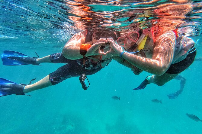 3 in 1 Private Tour Tulum Cenote and Snorkeling in the Reef - Customer Feedback