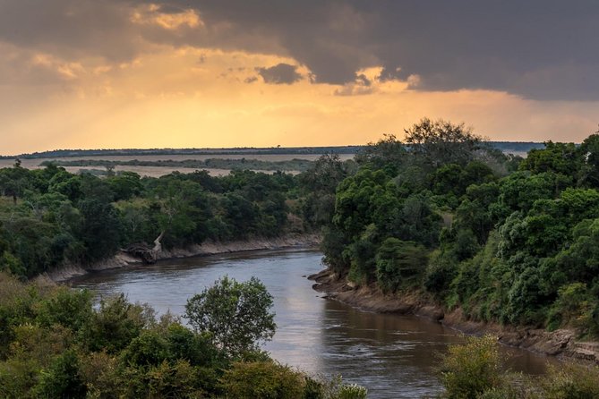 3 Nights Exclusive Masai Mara Safari - Guest Reviews
