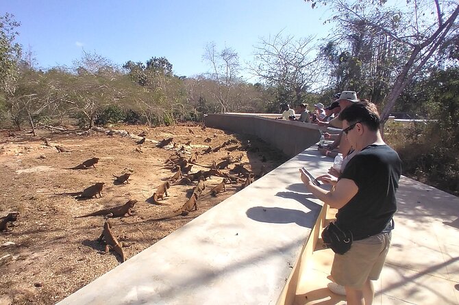 3 Tours in 1: Cave of Wonders, Altos De Chavon, Chocolate Factory - Pickup and Confirmation Details