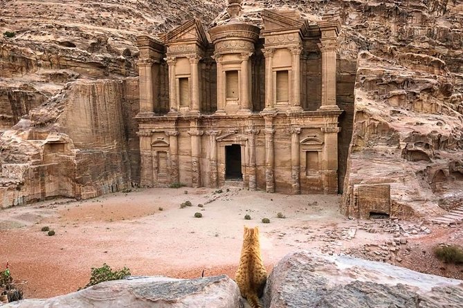 3DAYS Tour Petra & Wadi Rum From Amman, Dead Sea or Amman Airport - Positive Experiences