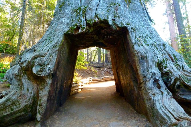 4 Day Death Valley, Yosemite, San Francisco From Las Vegas Camp or Lodge - Meeting and Pickup Details