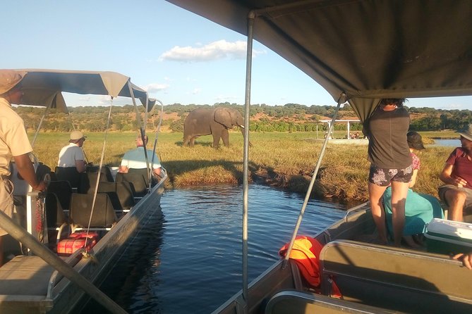 4-Day Discover Victoria Falls, Chobe and Hwange Park - Chobe National Park Safari