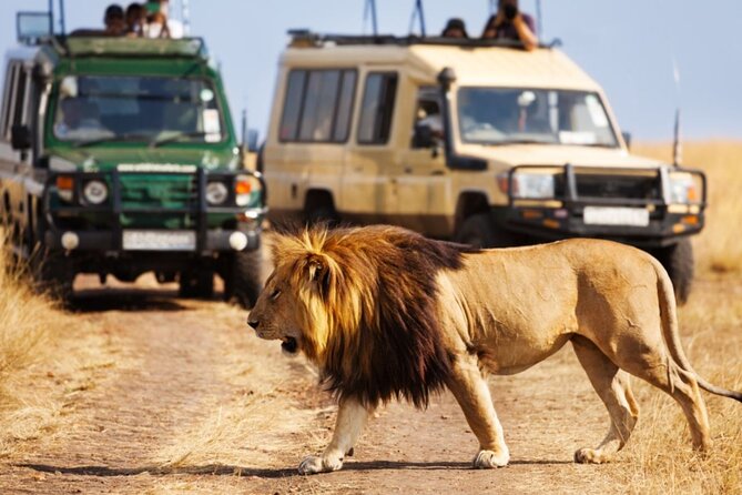 4 Day Garden Route Small Group Tour Fr CapeTown - Departs Mondays - Tour Details