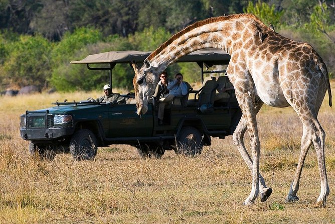 4-Day Kruger National Park & Panorama Route Tented Safari - Frequently Asked Questions