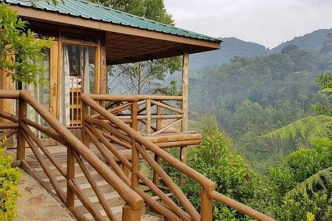 4-Day Private Tour in Bwindi Forest National Park - Health and Accessibility