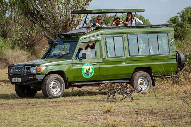 4-Day QENP, Gorillas in Bwindi and Lake Bunyonyi Relaxation - Additional Information