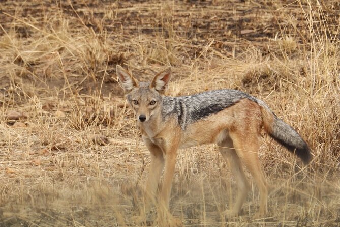 4 Day Serengeti and Ngorongoro Crater - Additional Considerations