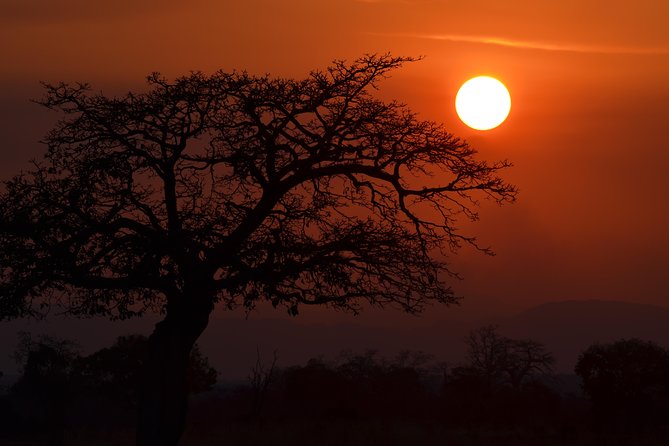 4 Day Serengeti & Ngorongoro Safari Wildlife Wonders of Tanzania - Booking Information
