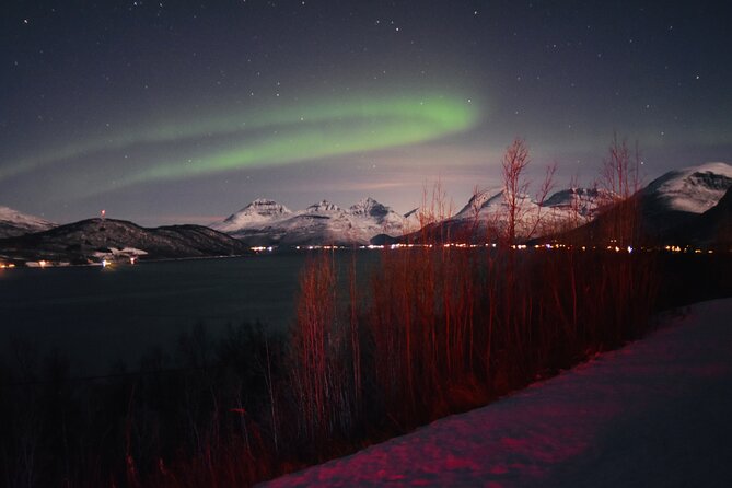 4 Days, 3 Countries Tour: Northern Lights and Moose - Itinerary Day 2