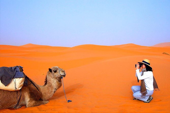 4 Days 3 Nights Tour From Marrakech End up in Marrakech via Merzouga Desert - Customer Reviews