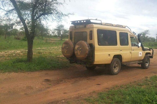 4 Days Affordable Tanzania Budget Safari - Tour Booking and Cancellation