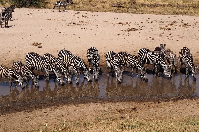 4 Days Joining Group Budget Camp Safari in Serengeti , Ngorongoro and Tarangire - Accommodations