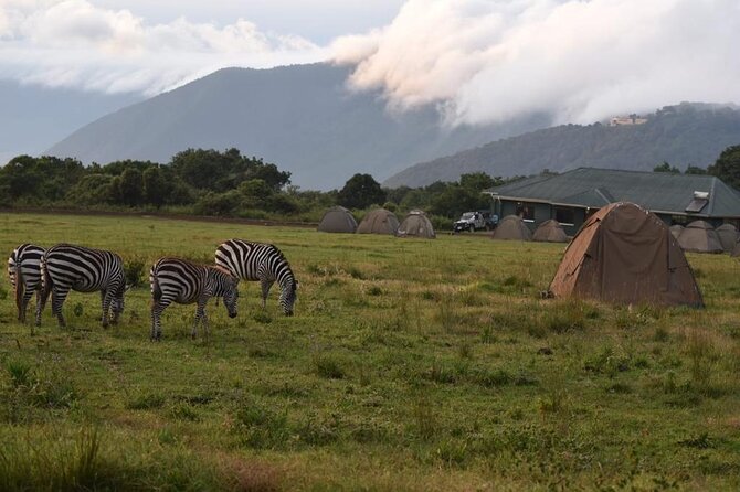 4 Days Lodge &Camping Tarangire,Serengeti, Ngorongoro Safari Tour - Accessibility and Infants