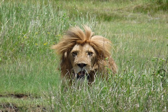 4 Days Lodge Safari - Additional Costs and Considerations